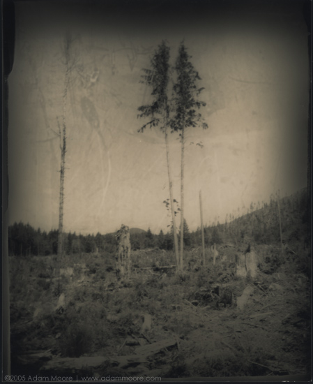photograph