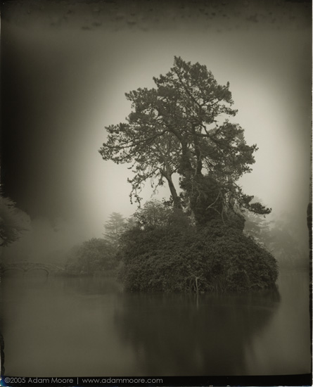 photograph