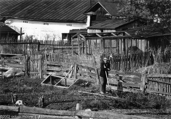 photograph