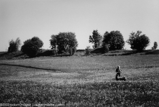 photograph